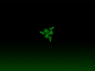 Green black lizard backside green - back side free wallpaper