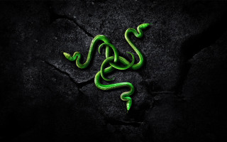 Green snake black surface aurora - its side free wallpaper