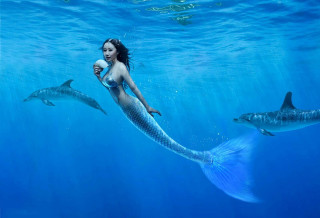 Woman bikini swimming dolphins water - adobe photoshop free wallpaper