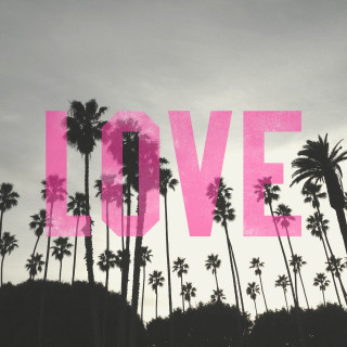 Pink love sign palm trees - palm tree free wallpaper