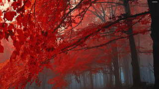 Red forest trees leaves fog - a matte painting free wallpaper