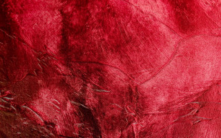 Red background leaves branches pattern - a pattern of leaves free wallpaper