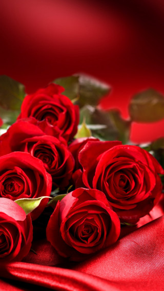 Red roses green leaves blurry 3 - anne dunn free wallpaper