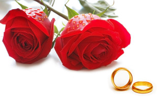Roses gold wedding rings white - romantic free wallpaper