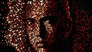 Bearded man confetti face neck - m free wallpaper