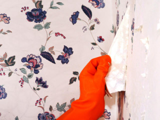 Person orange rubber gloves cleaning 2 - detailed oil painting free wallpaper