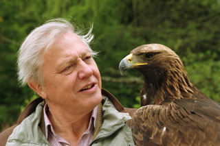 Man holding large bird prey - david young cameron free wallpaper