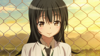 Girl tie fence mountains sunset - behind a fence free wallpaper