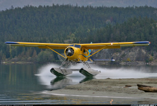 Yellow plane landing water forest - yellow free wallpaper