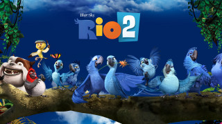 Birds cliff blue sky clouds - a group of birds free wallpaper