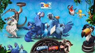 Cartoon birds cookie chocolate bar - aquirax uno free wallpaper for desktop