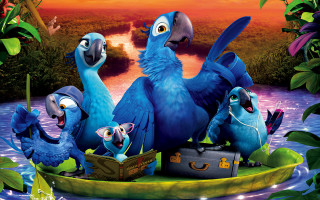 Birds boat sunset river jungle - the jungle free wallpaper