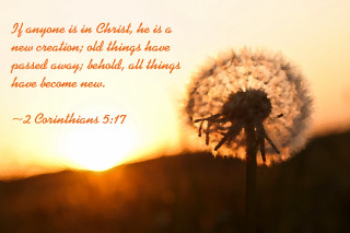 Dandelion bible verse sunset quote - a bible verse free wallpaper