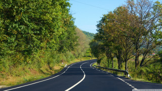 Curved road surrounded by trees - a curve in the middle of it free wallpaper