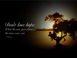 Tree quote night sunset background - a sunset in the background and a quote free wallpaper