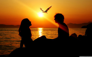 Couple water sunset bird flying - romantic free wallpaper