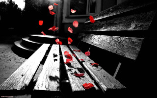 Wooden bench red flowers light 2 - a wooden bench free wallpaper