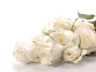 White rose bouquet green stem - a bouquet free wallpaper