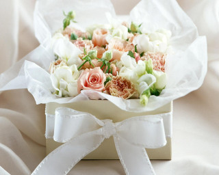 Bouquet flowers white box cloth - a white box free wallpaper