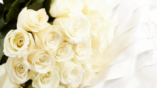 White roses bouquet white cloth - a white cloth free wallpaper