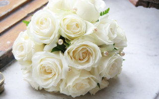White roses bouquet wine purse - a bouquet free wallpaper