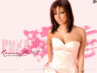 Beautiful woman pink background flower - aramenta dianthe vail free wallpaper for desktop