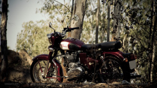 Motorcycle parked woods near tree - movie still frame free wallpaper