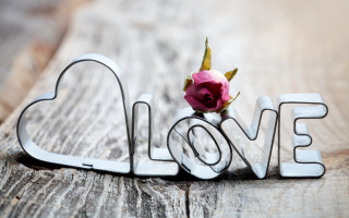 Rose love heart blurry depth - a rose free wallpaper