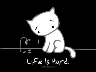 White cat sitting wire flower - a wire free wallpaper