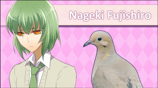 White bird green hair pink - green hair free wallpaper