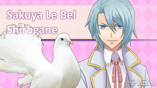White bird man suit pink - aaa game free wallpaper