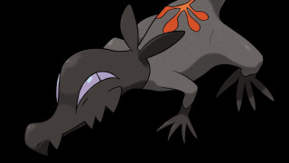 Cartoon character big nose big 3 - a large beak free wallpaper