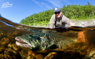 Man water fish hand fish - a fish free wallpaper