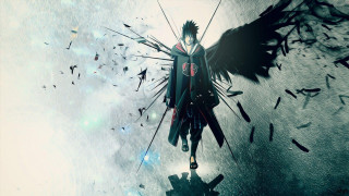 Man sword wings flying birds - full free wallpaper