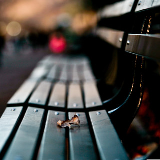 Bench wood closeup blurry background - free bird wallpaper