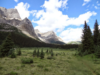 Grassy field trees mountains blue 2 - tree and mountains free wallpaper