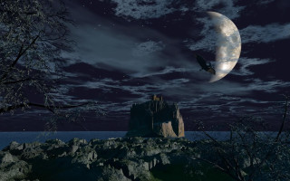 Bird flying mountain full moon - christophe vacher free wallpaper