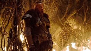 Man costume forest fire sword - a sword free wallpaper for desktop
