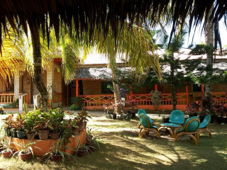 Lawn chairs plants house thatched - roof free wallpaper
