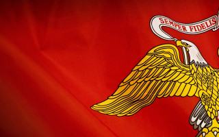 Flag bird banner back says - free bird wallpaper