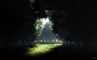 Dark forest path light end - a path free wallpaper