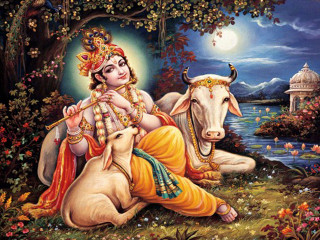 Woman cow flute sitting painting - a cow free wallpaper