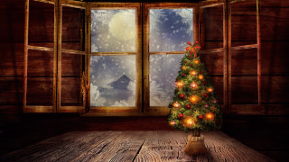 Christmas tree indoor winter snow - a wooden table free wallpaper