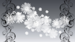 Snowflakes black white gray background - swirl free wallpaper