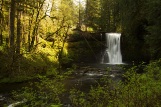 Waterfall forest bridge trees stream - a bridge over free wallpaper