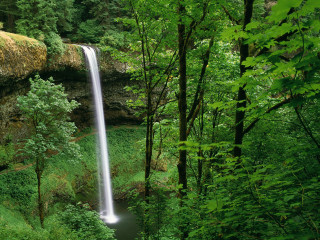 Waterfall forest stream autumn nature - lush free wallpaper