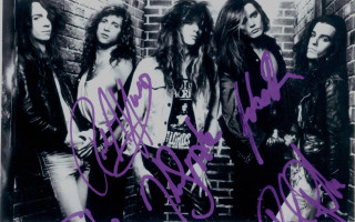 Women group brick wall purple - ed roth free wallpaper