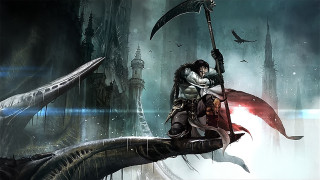 Man giant axe whale bird - a bird free wallpaper for desktop