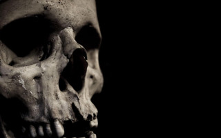 Skull tooth black background white 2 - its mouth free wallpaper