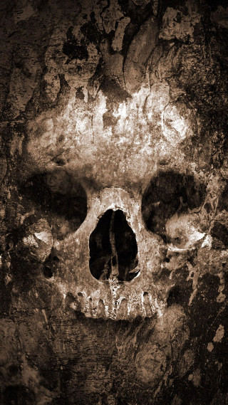 Skull rock wall hole face - a skull free wallpaper